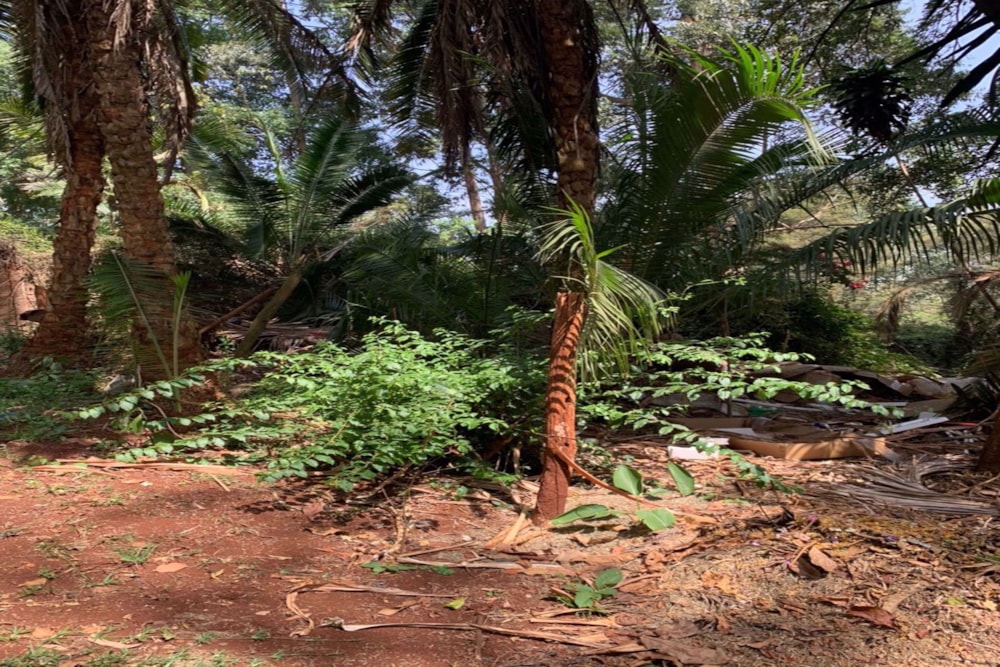 Vacant land for sale in Kitisuru, Kenya - 3KE1743898