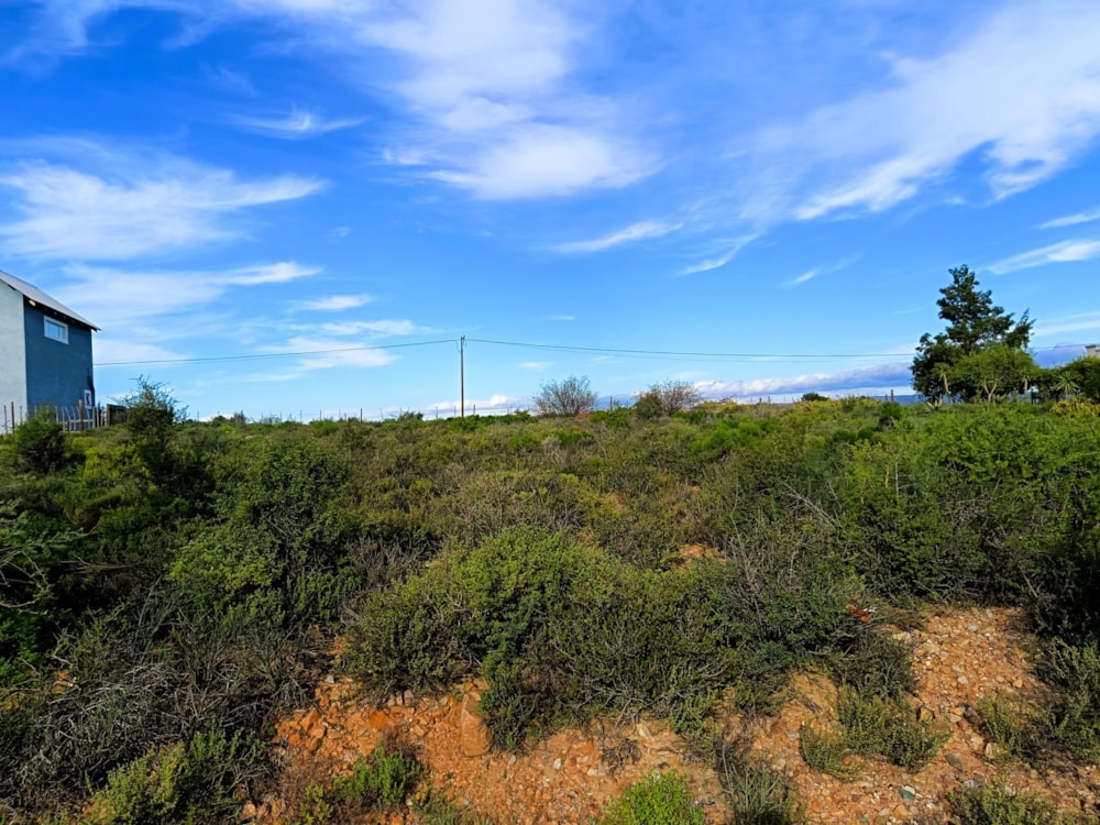 Vacant land for sale in Calitzdorp - 1OU1743748 Vacant land for sale in Calitzdorp - 1OU1743748