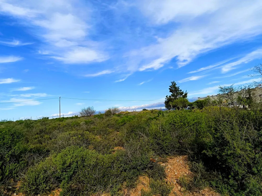 Vacant land for sale in Calitzdorp - 1OU1743748