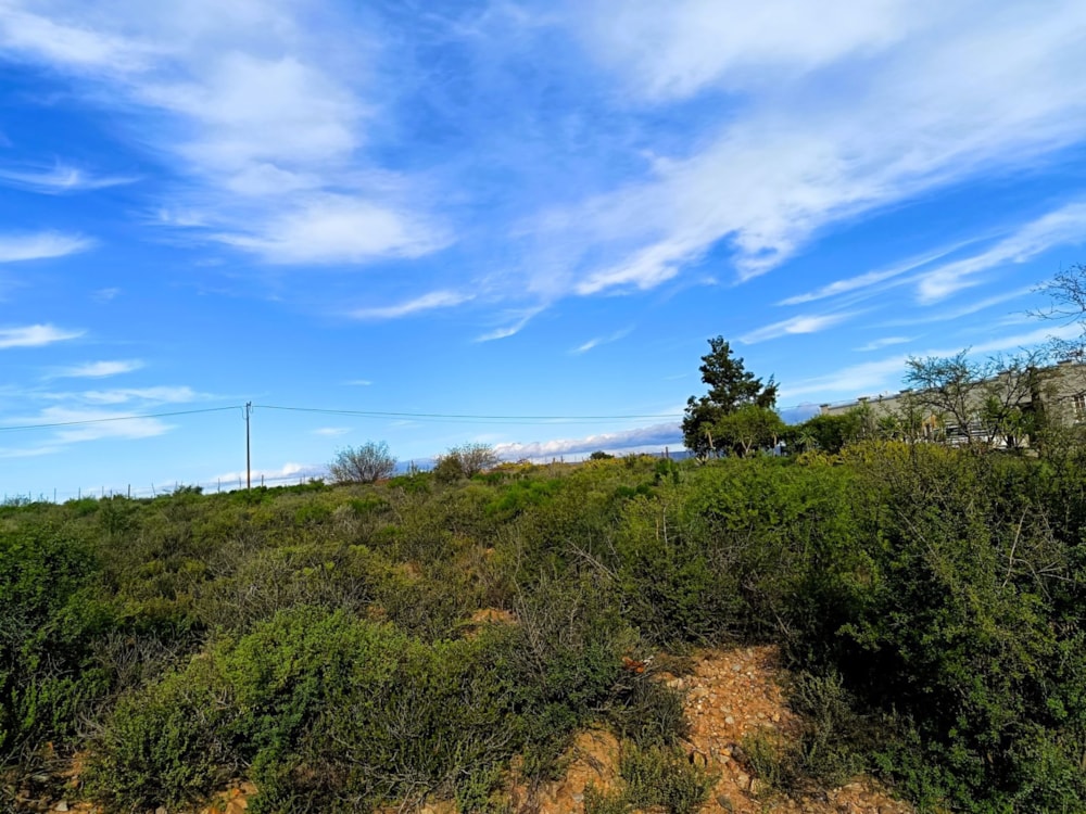 Vacant land for sale in Calitzdorp - 1OU1743748 Vacant land for sale in Calitzdorp - 1OU1743748