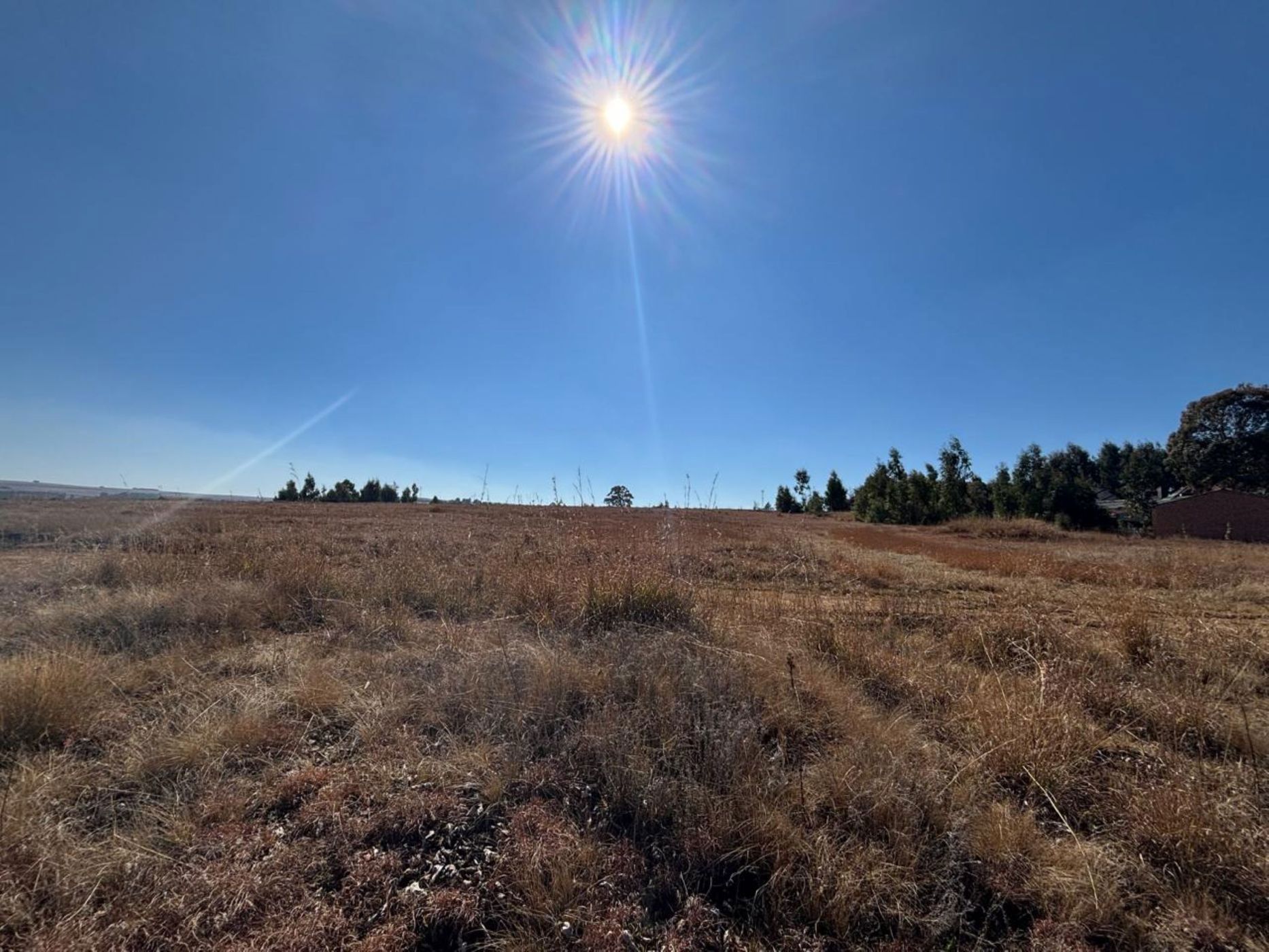 Vacant land for sale in Dullstroom - 1DS1745357