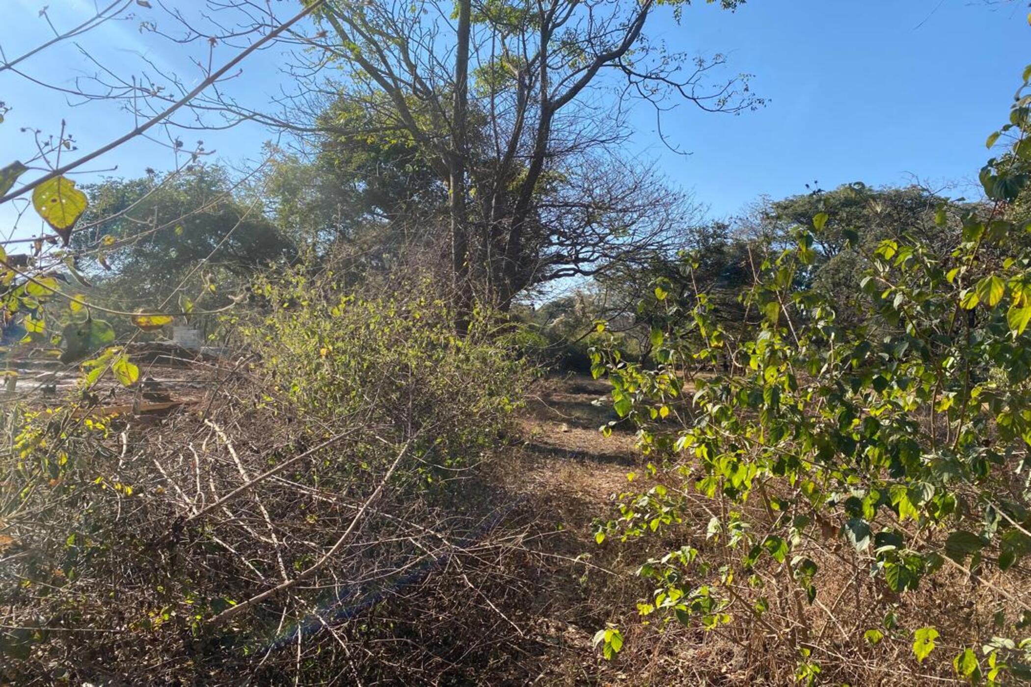 Residential vacant land for sale in Leopards Hill, Zambia - 3ZA1745517
