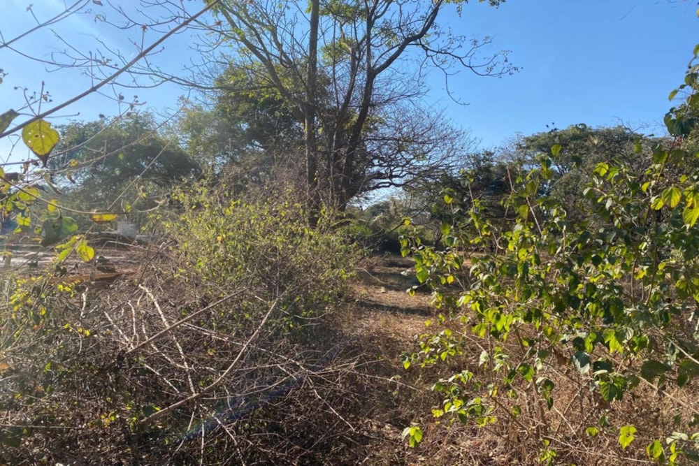 Residential vacant land for sale in Leopards Hill, Zambia - 3ZA1745517 Residential vacant land for sale in Leopards Hill, Zambia - 3ZA1745517