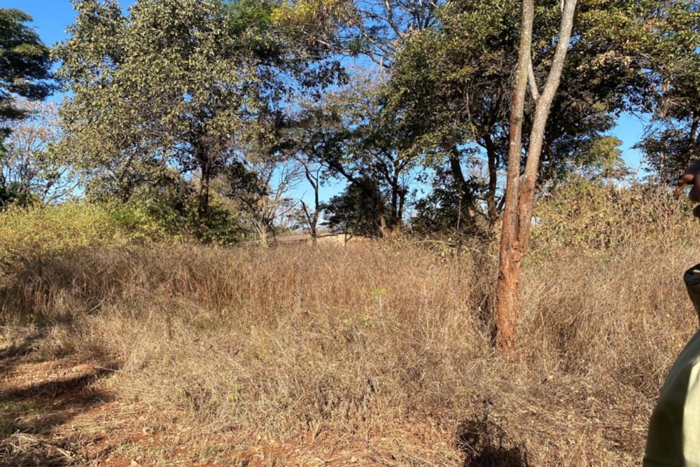 Residential vacant land for sale in Leopards Hill, Zambia - 3ZA1745517 Residential vacant land for sale in Leopards Hill, Zambia - 3ZA1745517