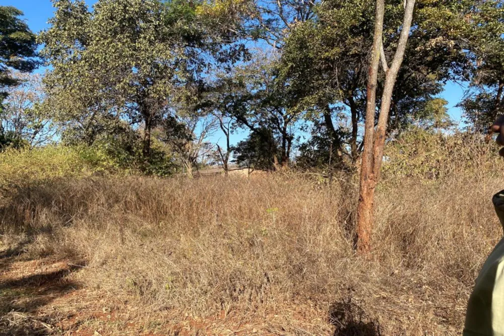 Residential vacant land for sale in Leopards Hill, Zambia - 3ZA1745517 Residential vacant land for sale in Leopards Hill, Zambia - 3ZA1745517