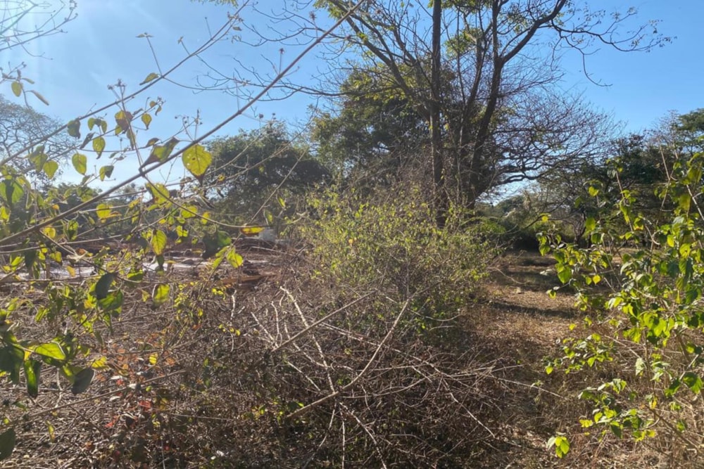 Residential vacant land for sale in Leopards Hill, Zambia - 3ZA1745517 Residential vacant land for sale in Leopards Hill, Zambia - 3ZA1745517
