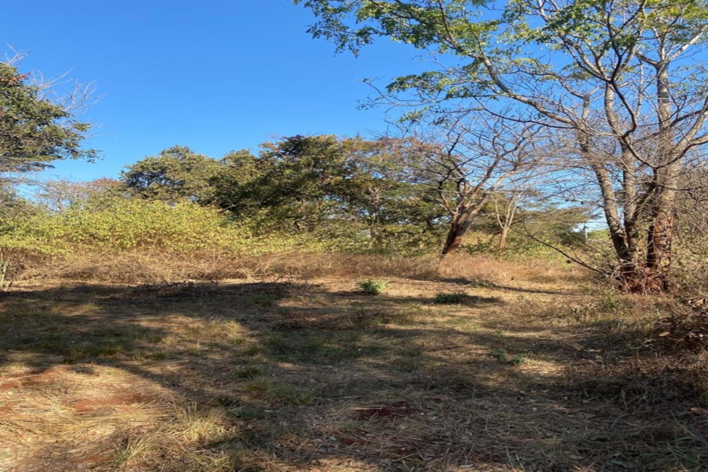 Residential vacant land for sale in Leopards Hill, Zambia - 3ZA1745517 Residential vacant land for sale in Leopards Hill, Zambia - 3ZA1745517