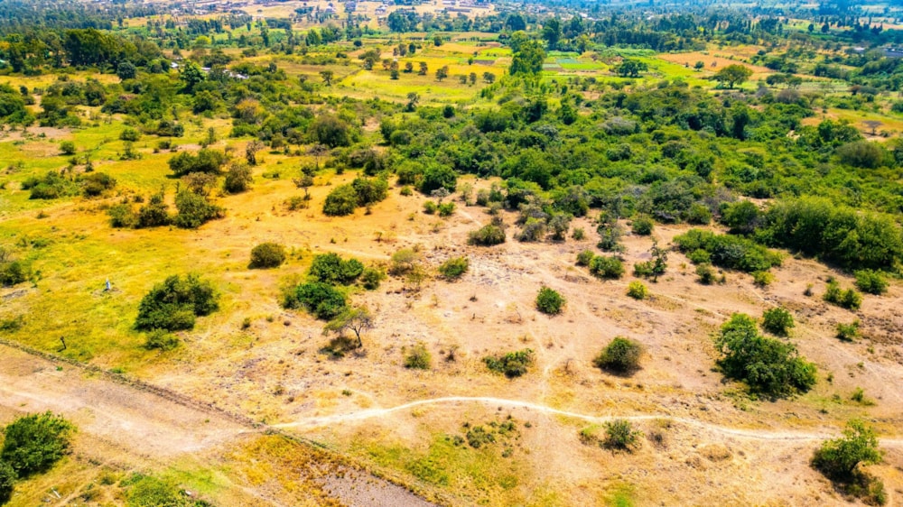 Vacant land for sale in Thika, Kenya - 3KE1744646 Vacant land for sale in Thika, Kenya - 3KE1744646