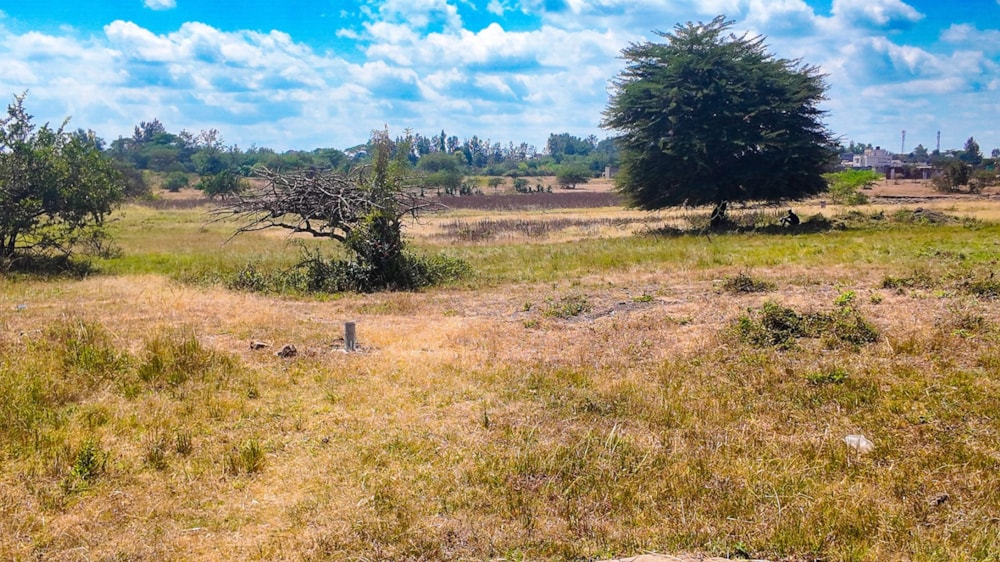 Vacant land for sale in Thika, Kenya - 3KE1744646 Vacant land for sale in Thika, Kenya - 3KE1744646