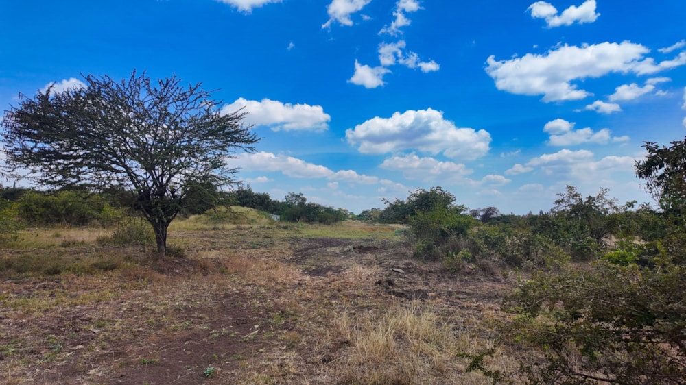 Vacant land for sale in Thika, Kenya - 3KE1744647 Vacant land for sale in Thika, Kenya - 3KE1744647