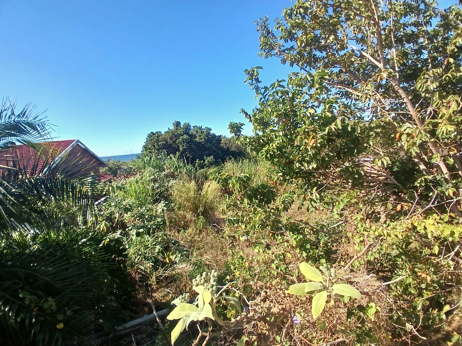 Vacant land for sale in Melville, Port Shepstone - 1PSH1744932