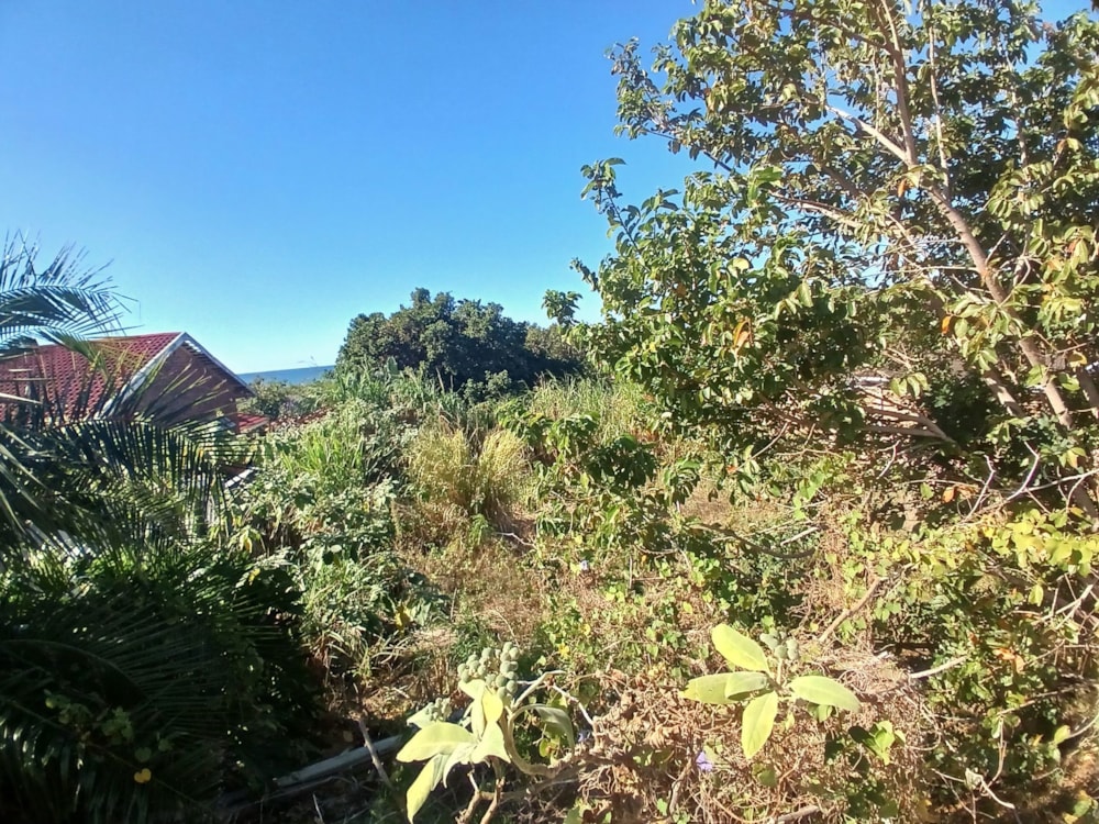 Vacant land for sale in Melville, Port Shepstone - 1PSH1744932 Vacant land for sale in Melville, Port Shepstone - 1PSH1744932