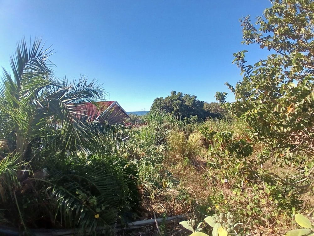 Vacant land for sale in Melville, Port Shepstone - 1PSH1744932 Vacant land for sale in Melville, Port Shepstone - 1PSH1744932
