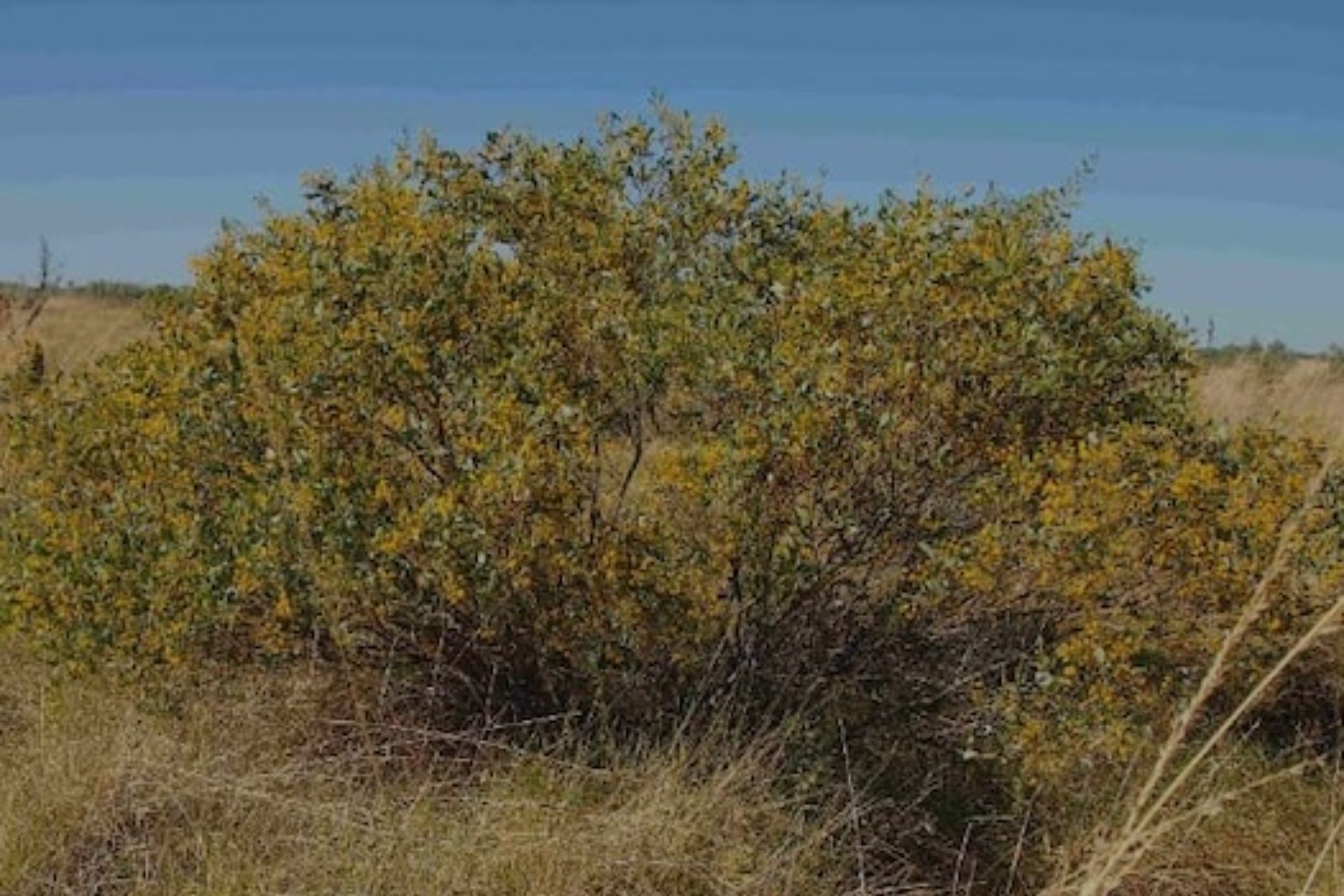 Vacant land for investment in Catembe, Mozambique - 3MQ1744902