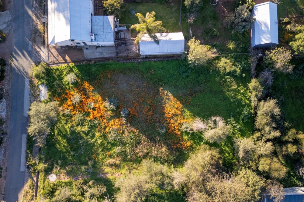 Residential vacant land for sale in De Rust - 1OU1745404 Residential vacant land for sale in De Rust - 1OU1745404