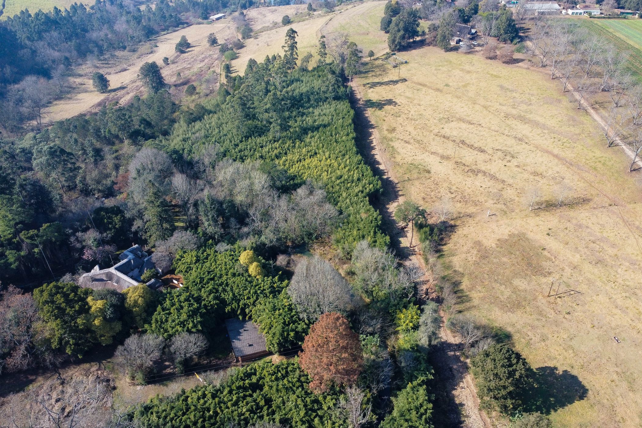 Smallholding for sale in Richmond, Midlands, Rural - 1PM1746128
