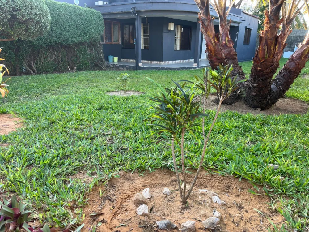 House to rent in Vilanculos, Mozambique - 3MQ1745053 House to rent in Vilanculos, Mozambique - 3MQ1745053