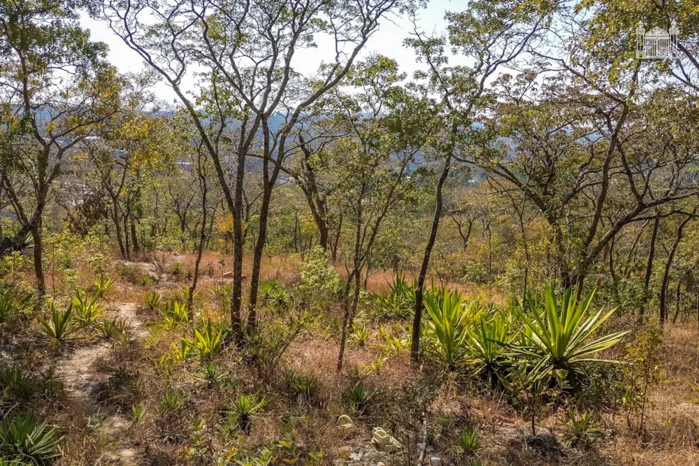 Vacant land for sale in Glen Lorne, Zimbabwe - 3ZB1745229 Vacant land for sale in Glen Lorne, Zimbabwe - 3ZB1745229