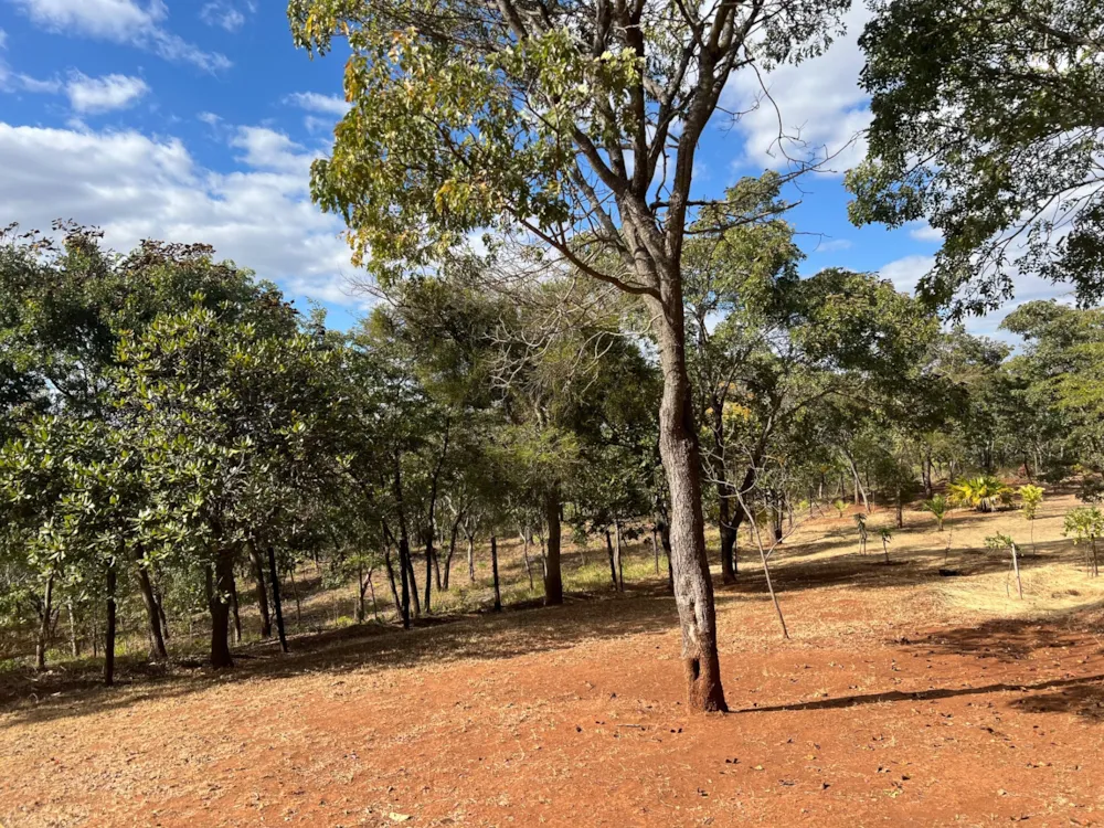 Residential vacant land for sale in Hogerty hill, Zimbabwe - 3ZB1750027 Residential vacant land for sale in Hogerty hill, Zimbabwe - 3ZB1750027