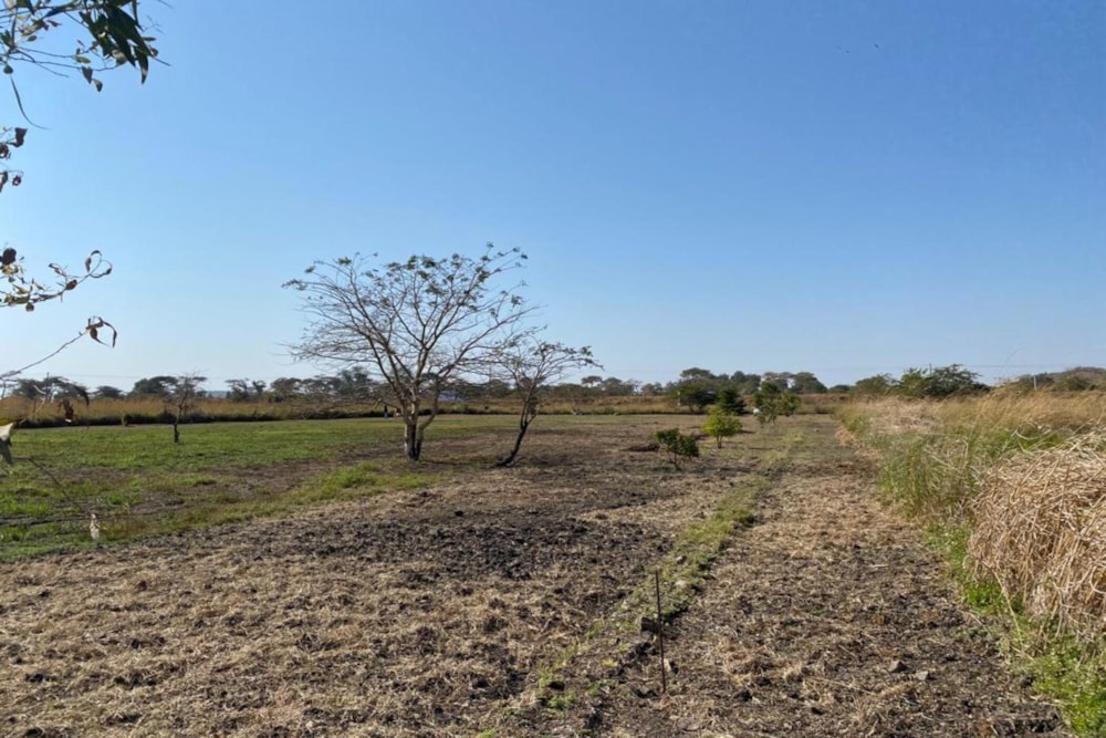 Residential vacant land for sale in Foxdale, Zambia - 3ZA1745553 Residential vacant land for sale in Foxdale, Zambia - 3ZA1745553