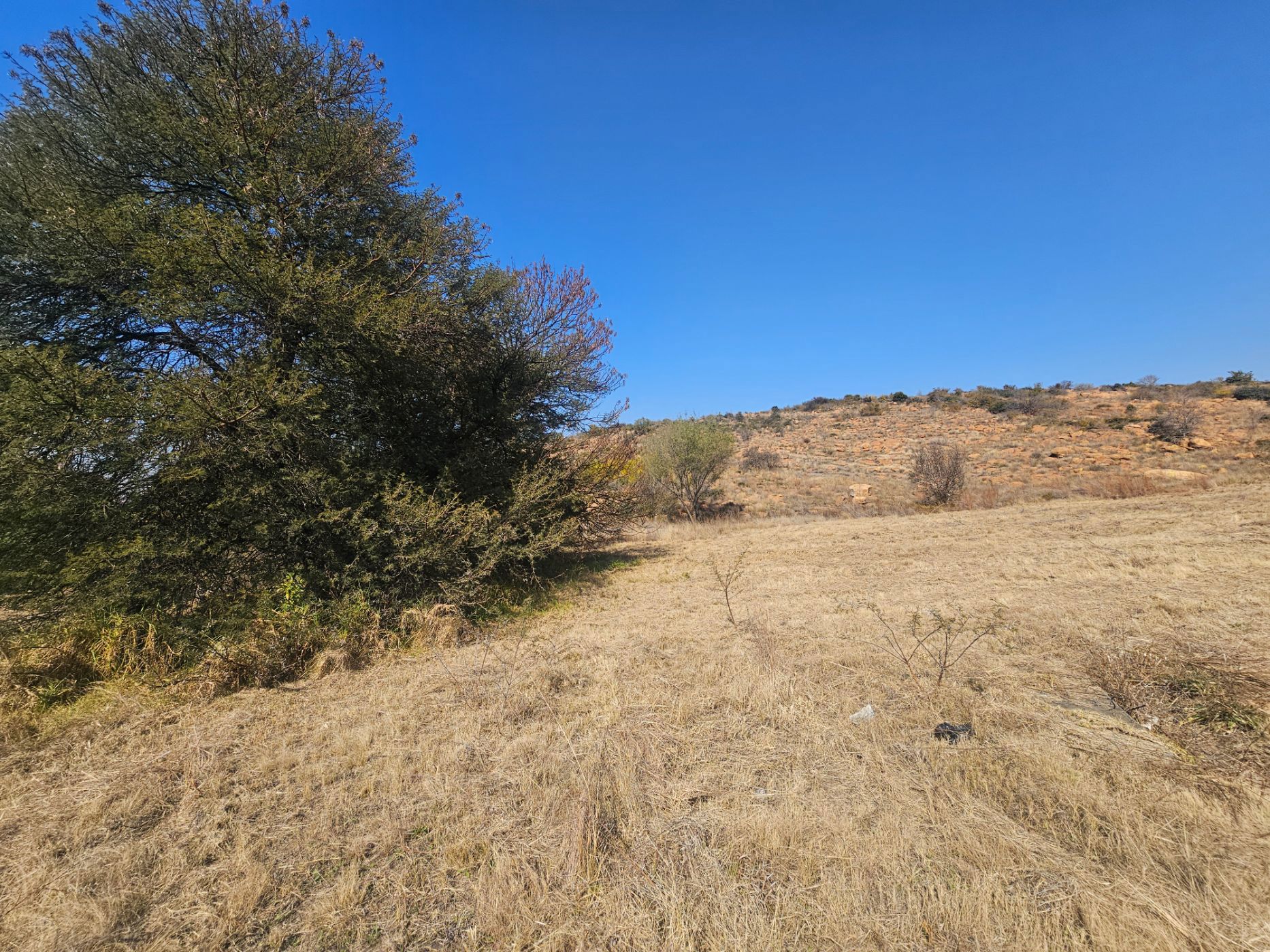 Residential vacant land for sale in Berg en Dal, Heidelberg - 1SP1745664