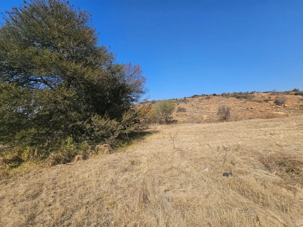 Residential vacant land for sale in Berg en Dal, Heidelberg - 1SP1745664