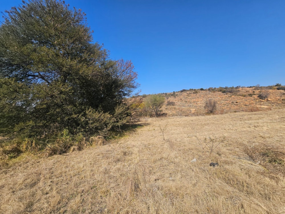 Residential vacant land for sale in Berg en Dal, Heidelberg - 1SP1745664 Residential vacant land for sale in Berg en Dal, Heidelberg - 1SP1745664
