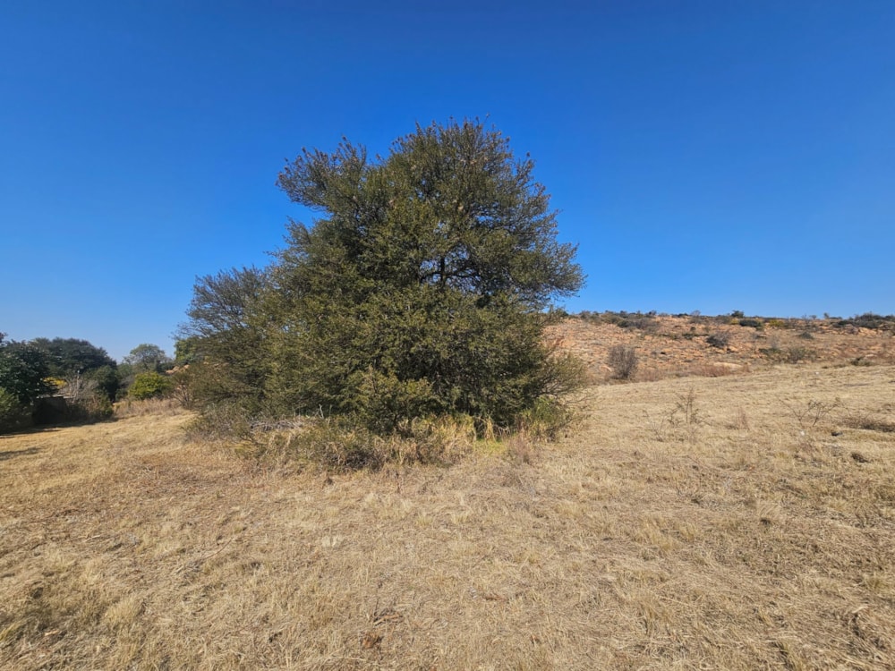 Residential vacant land for sale in Berg en Dal, Heidelberg - 1SP1745664 Residential vacant land for sale in Berg en Dal, Heidelberg - 1SP1745664