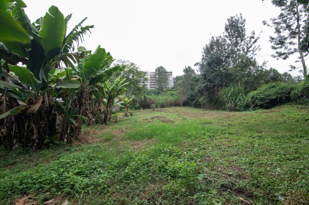 Residential vacant land for sale in Kiambu Road, Kenya - 3KE1745769 Residential vacant land for sale in Kiambu Road, Kenya - 3KE1745769