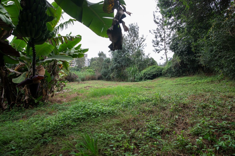 Residential vacant land for sale in Kiambu Road, Kenya - 3KE1745769 Residential vacant land for sale in Kiambu Road, Kenya - 3KE1745769