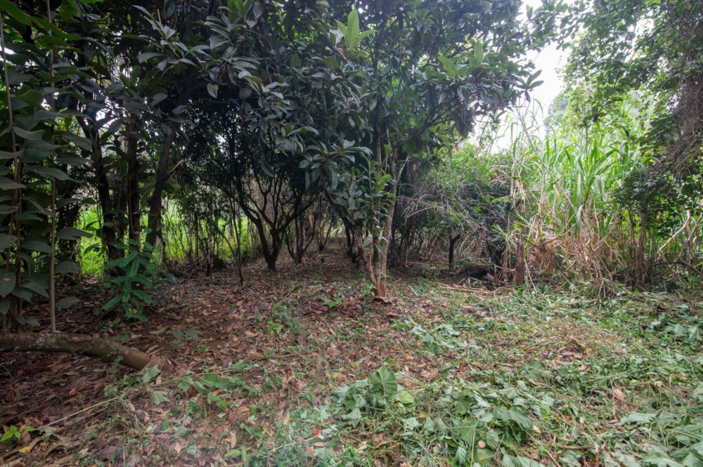 Residential vacant land for sale in Kiambu Road, Kenya - 3KE1745769 Residential vacant land for sale in Kiambu Road, Kenya - 3KE1745769