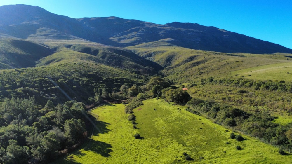 Livestock farm for sale in Heidelberg Rural - 1SW1746139 Livestock farm for sale in Heidelberg Rural - 1SW1746139