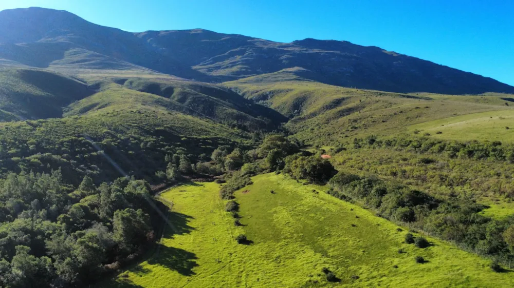 Livestock farm for sale in Heidelberg Rural - 1SW1746139 Livestock farm for sale in Heidelberg Rural - 1SW1746139