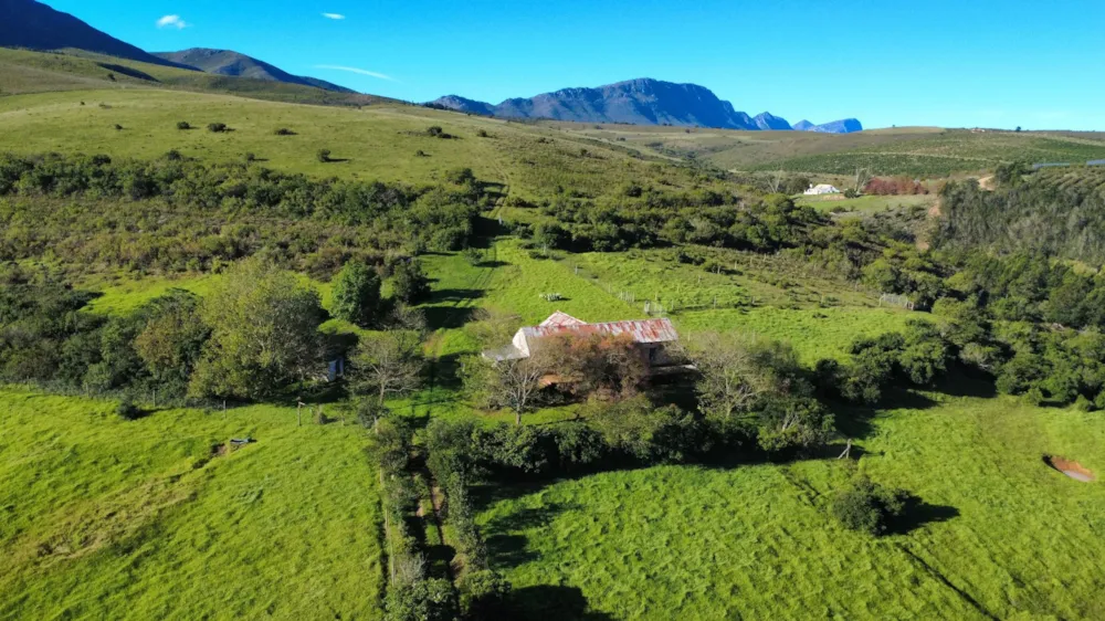 Livestock farm for sale in Heidelberg Rural - 1SW1746139 Livestock farm for sale in Heidelberg Rural - 1SW1746139