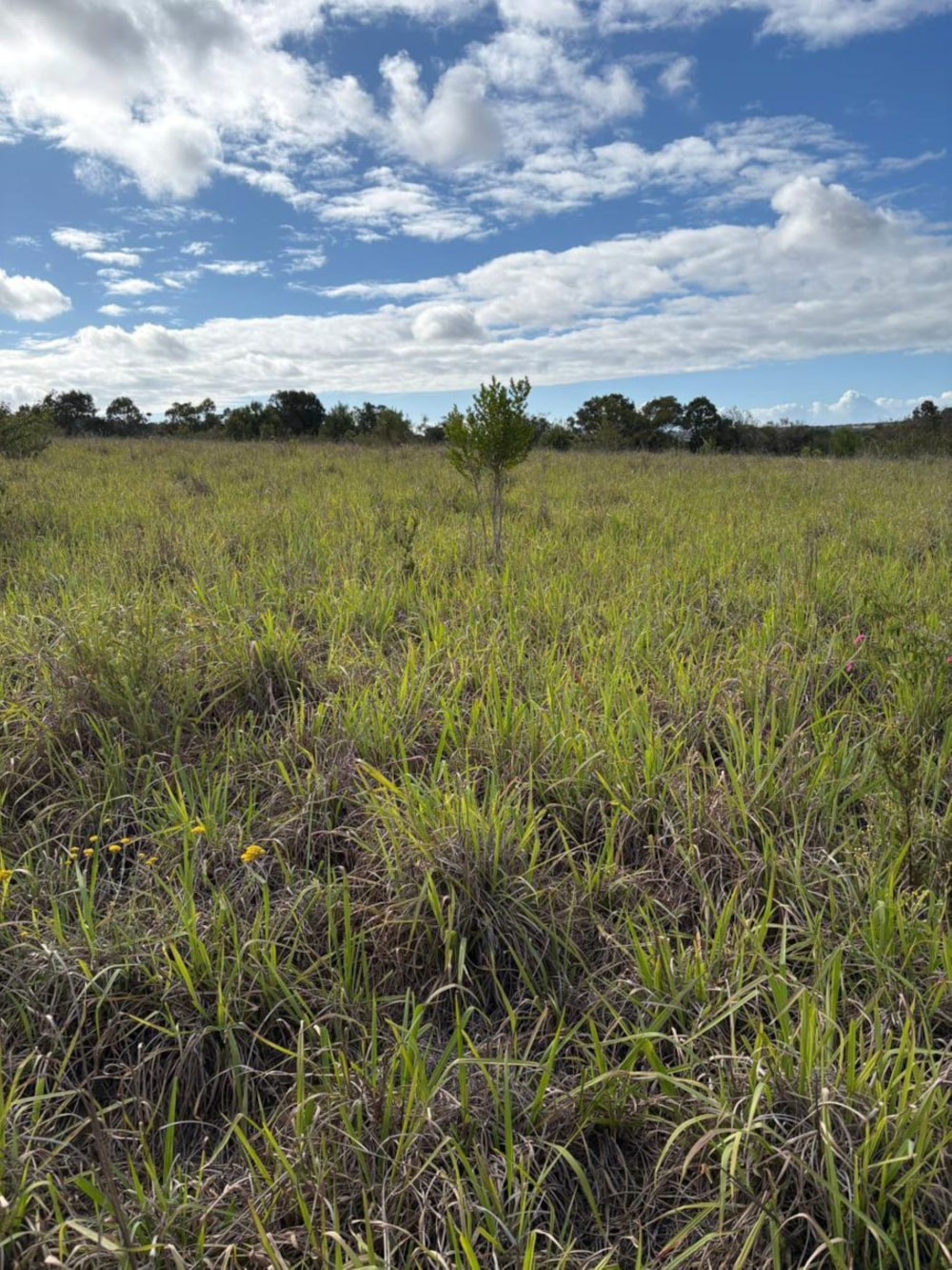 Farm vacant land for sale in Bathurst - 1PF1746141 Farm vacant land for sale in Bathurst - 1PF1746141