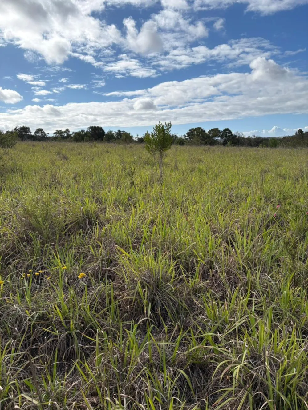 Farm vacant land for sale in Bathurst - 1PF1746141 Farm vacant land for sale in Bathurst - 1PF1746141