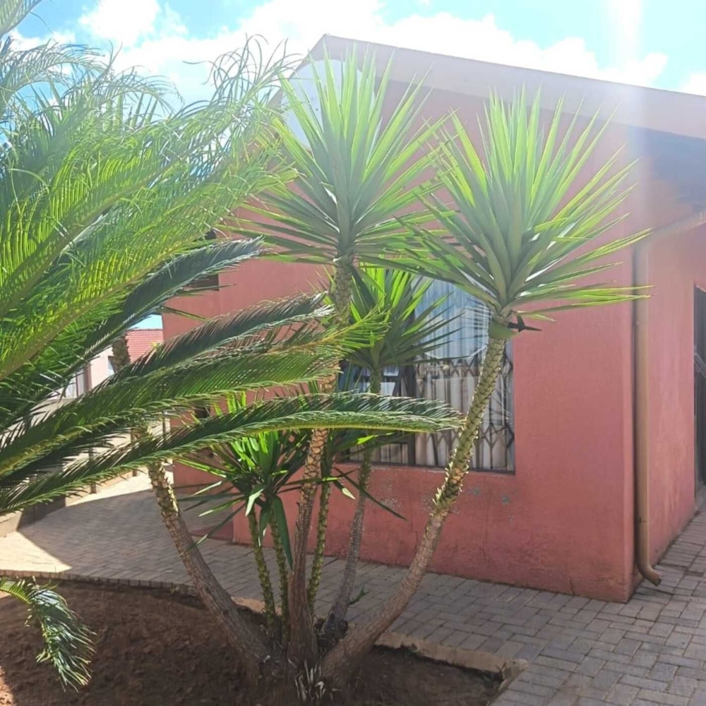 House for sale in Sebokeng Zone 17 - 1VT1746474 House for sale in Sebokeng Zone 17 - 1VT1746474