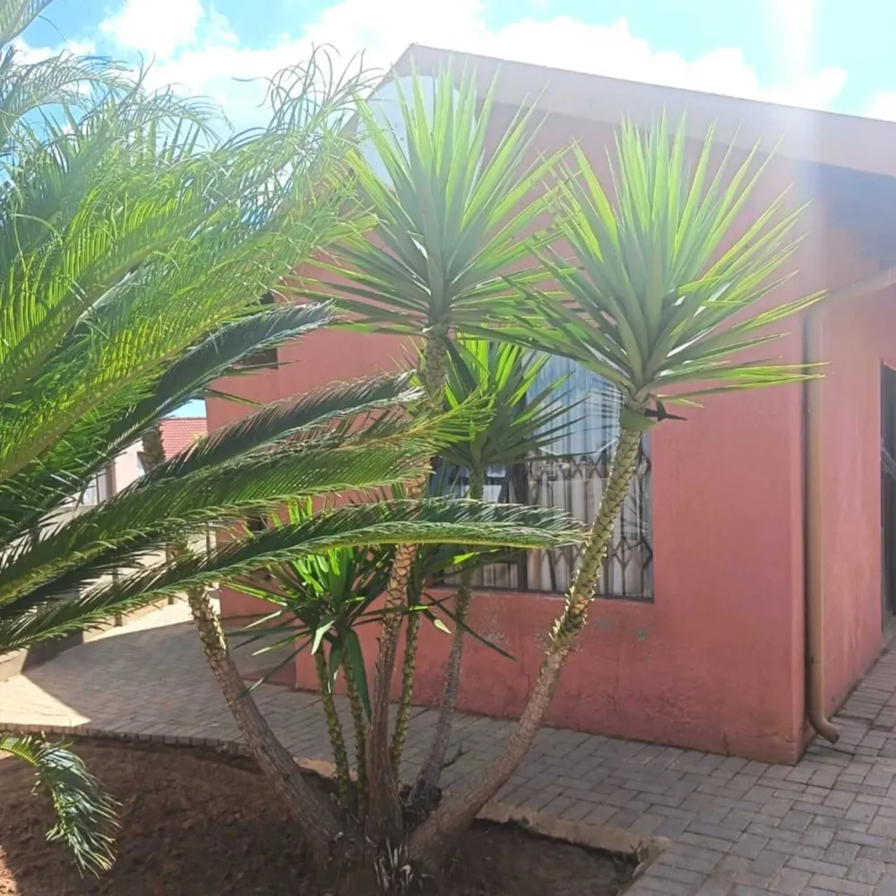 House for sale in Sebokeng Zone 17 - 1VT1746474 House for sale in Sebokeng Zone 17 - 1VT1746474