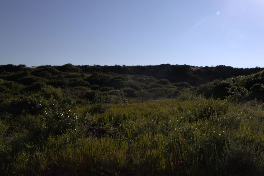 Vacant land for sale in Oyster Bay, Eastern Cape - 1SA1746156 Vacant land for sale in Oyster Bay, Eastern Cape - 1SA1746156
