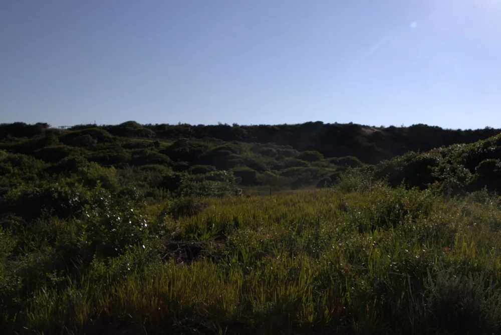 Vacant land for sale in Oyster Bay, Eastern Cape - 1SA1746156 Vacant land for sale in Oyster Bay, Eastern Cape - 1SA1746156