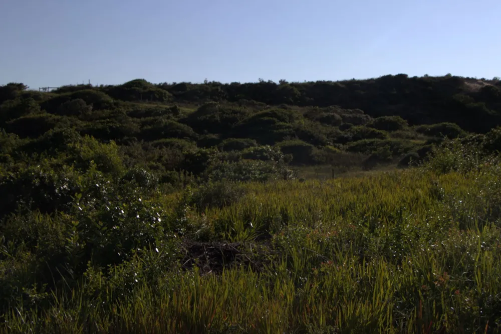 Vacant land for sale in Oyster Bay, Eastern Cape - 1SA1746156 Vacant land for sale in Oyster Bay, Eastern Cape - 1SA1746156