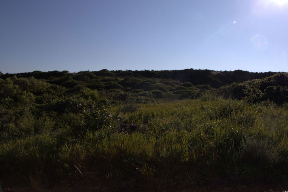 Vacant land for sale in Oyster Bay, Eastern Cape - 1SA1746156 Vacant land for sale in Oyster Bay, Eastern Cape - 1SA1746156
