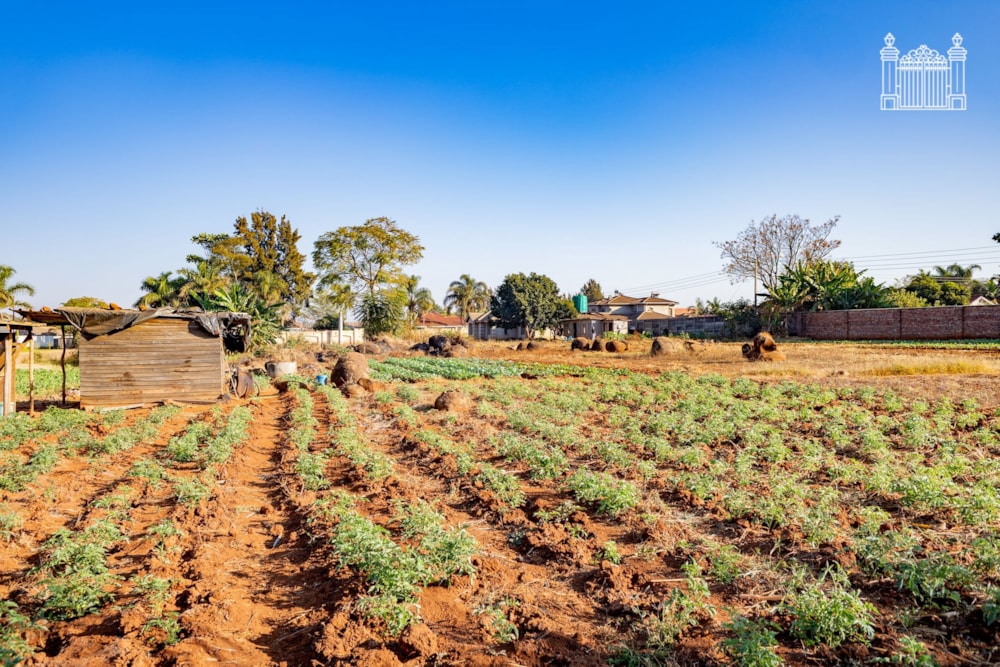 Vacant land for sale in Westgate, Harare West, Zimbabwe - 3ZB1746346 Vacant land for sale in Westgate, Harare West, Zimbabwe - 3ZB1746346