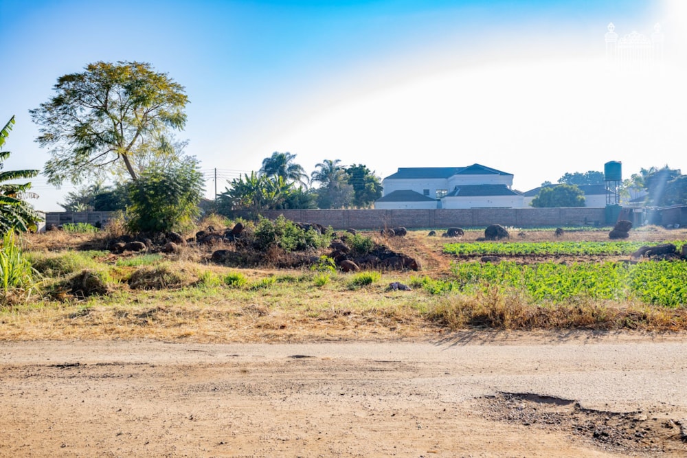 Vacant land for sale in Westgate, Harare West, Zimbabwe - 3ZB1746346 Vacant land for sale in Westgate, Harare West, Zimbabwe - 3ZB1746346