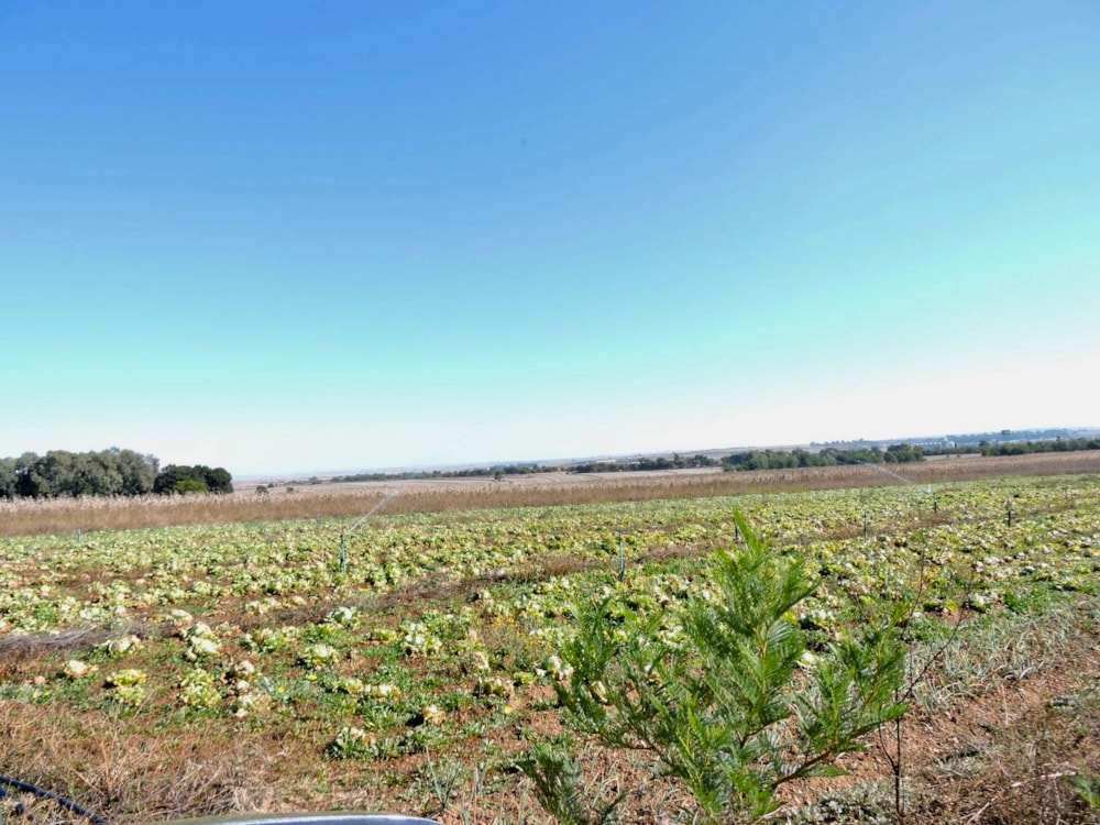 Mixed use farm for sale in Rustenburg Rural - 1RU1746419 Mixed use farm for sale in Rustenburg Rural - 1RU1746419