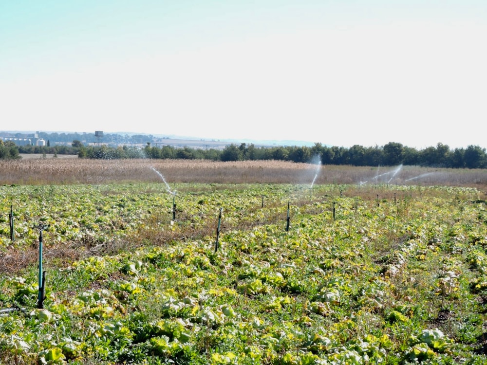 Mixed use farm for sale in Rustenburg Rural - 1RU1746419 Mixed use farm for sale in Rustenburg Rural - 1RU1746419
