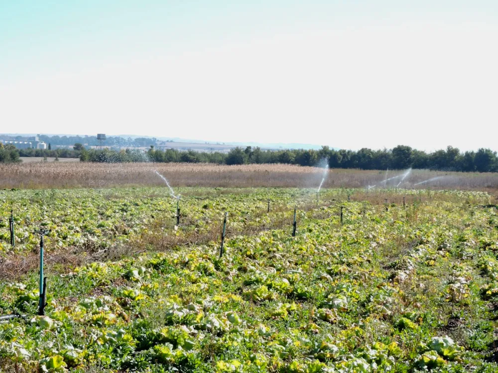 Mixed use farm for sale in Rustenburg Rural - 1RU1746419 Mixed use farm for sale in Rustenburg Rural - 1RU1746419