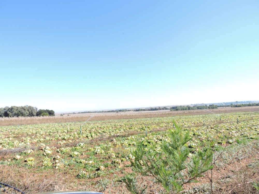 Mixed use farm for sale in Rustenburg Rural - 1RU1746419 Mixed use farm for sale in Rustenburg Rural - 1RU1746419