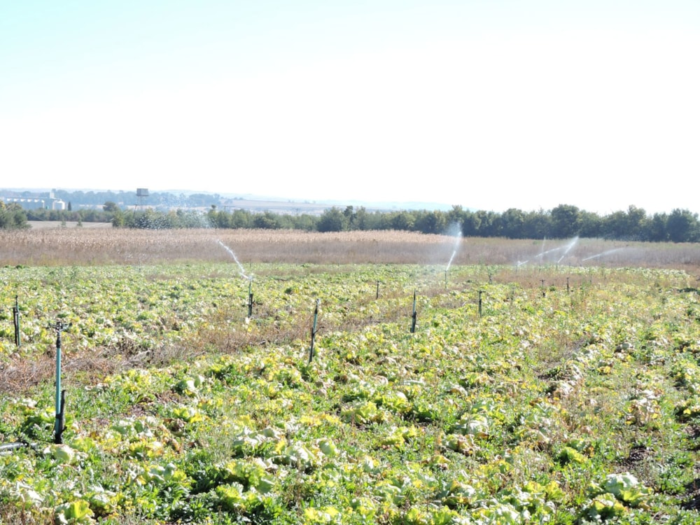 Mixed use farm for sale in Rustenburg Rural - 1RU1746419 Mixed use farm for sale in Rustenburg Rural - 1RU1746419