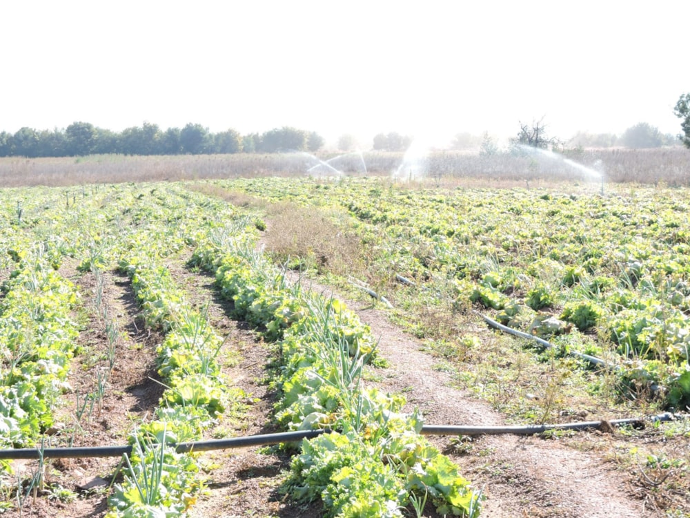 Mixed use farm for sale in Rustenburg Rural - 1RU1746419 Mixed use farm for sale in Rustenburg Rural - 1RU1746419